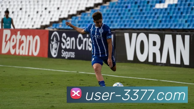 3377体育平台生态图